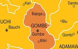 Gombe, MTN Nigeria Partner on Health Coverage