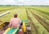 Nigeria Economy : Evaluating Emefiele’s Positive effect on Agricultural framework
