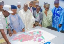 GOGIS Generates N1.8bn Revenue in Two Years