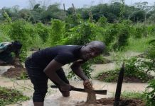 Considering Climate Change Impact on Mental Health
