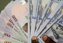 Banking Distrust: N1.6trn Exits Banks as Nigerians Hoard Naira Amid Inflation