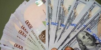 Why Naira Will Stabilize in 2025