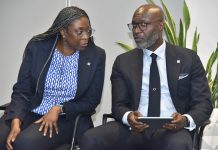 Access Holdings Boosts Intra-African Trade, Targets Small Business Growth