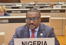 Dr. Rabiu Olowo Elected as New UNCTAD ISAR Chair