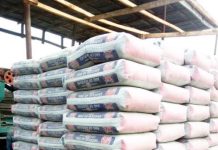 Dangote Cement: Strong Growth, But Pricing Pressures Loom