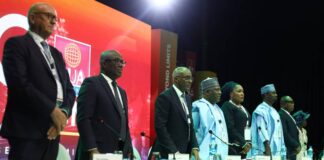 BUA Cement Posts 90% Revenue Surge, Declares N2.05 Dividend