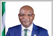 Floods Recede, Farms Rise, Power Returns as Ogun-Oshun River Boss Marks One Year