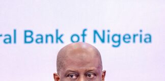 Cardoso Urges African Central Banks, DFIs to Drive Climate-Resilient Growth