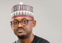 Diamond-Rich Botswana Appoints Nigerian Farouk Gumel as Chairman of Sovereign Wealth Fund