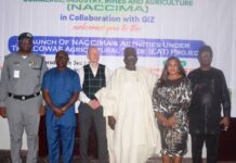 NACCIMA, GIZ collaborate to facilitate cross-border trade, export