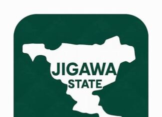 Customs Seizes ₦769.5m Contraband on Kano–Jigawa Route