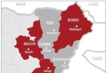 Nigeria, Partners Launch $516M Appeal for 2.5M in North-East