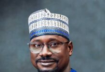 Nigeria Expands Solar Manufacturing Capacity to 300MW in Two Years