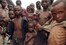 Over 2.3 Million children Immunized in the Recent polio Exercise In Jigawa