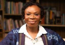 Regional Endorsements Belong to the Past, NBA Needs Universal Suffrage — Boma Alabi, SAN