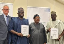 Stakeholders harp on electricity access role in powering productivity, economic growth