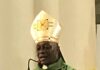 Nurture Creation, Denounce All Forms of Pollution, Archbishop Martins Urges Govts, Others