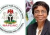 NAFDAC Leads Africa’s Push for Safer Food Systems in Cairo