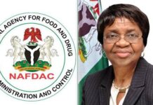 NAFDAC Leads Africa’s Push for Safer Food Systems in Cairo