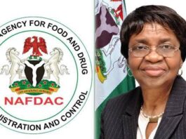 NAFDAC Leads Africa’s Push for Safer Food Systems in Cairo